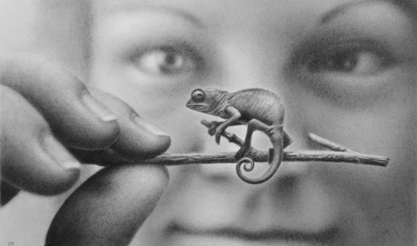 Art & Fun - 18  2014  14:57