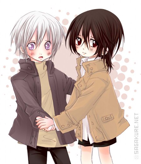 ������ � ����.����� ������ ������/Vampire Knight