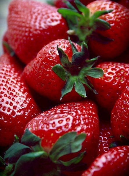 Art & Fun - 24  2014  15:24 - 5