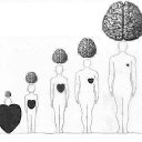  , -, 59  -  31  2014    