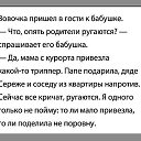 ���� �������, ����, 46 ��� - ��������� 11 �������� 2014 � ������ ������ ��������