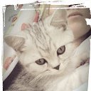 ���� Kati, ������ - ��������� 26 ������ 2014 � ������ ������ ��������