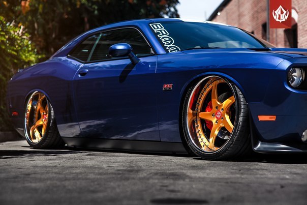 Dodge Challenger 392 HEMI on Vip Modular Wheels - 8