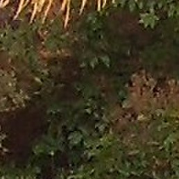 ���������, ��������, 74 ����