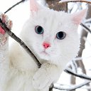 ���� ������., ������, 65 ��� - ��������� 30 ������ 2014 � ������ ������ ��������