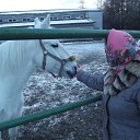 ���� ������, �����������, 38 ��� - ��������� 1 ������ 2014 � ������ ���� ����������