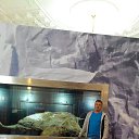 ���� @������@, �����������, 43 ���� - ��������� 4 ������� 2014 � ������ ���� ����������