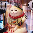  *Imagine*, -, 40  -  12  2014    