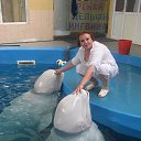 ���� �������, ���������, 51 ��� - ��������� 17 �������� 2014 � ������ ���� ����������