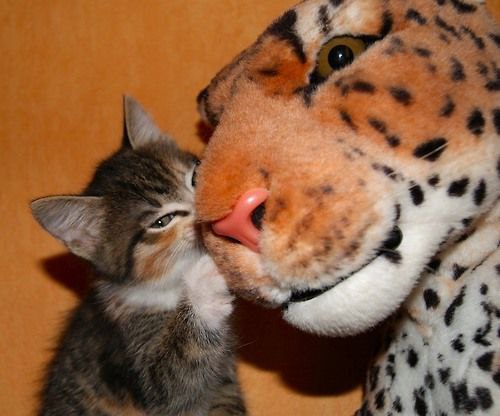 ������� ������ ����� � �������, � ���� ������� ��?