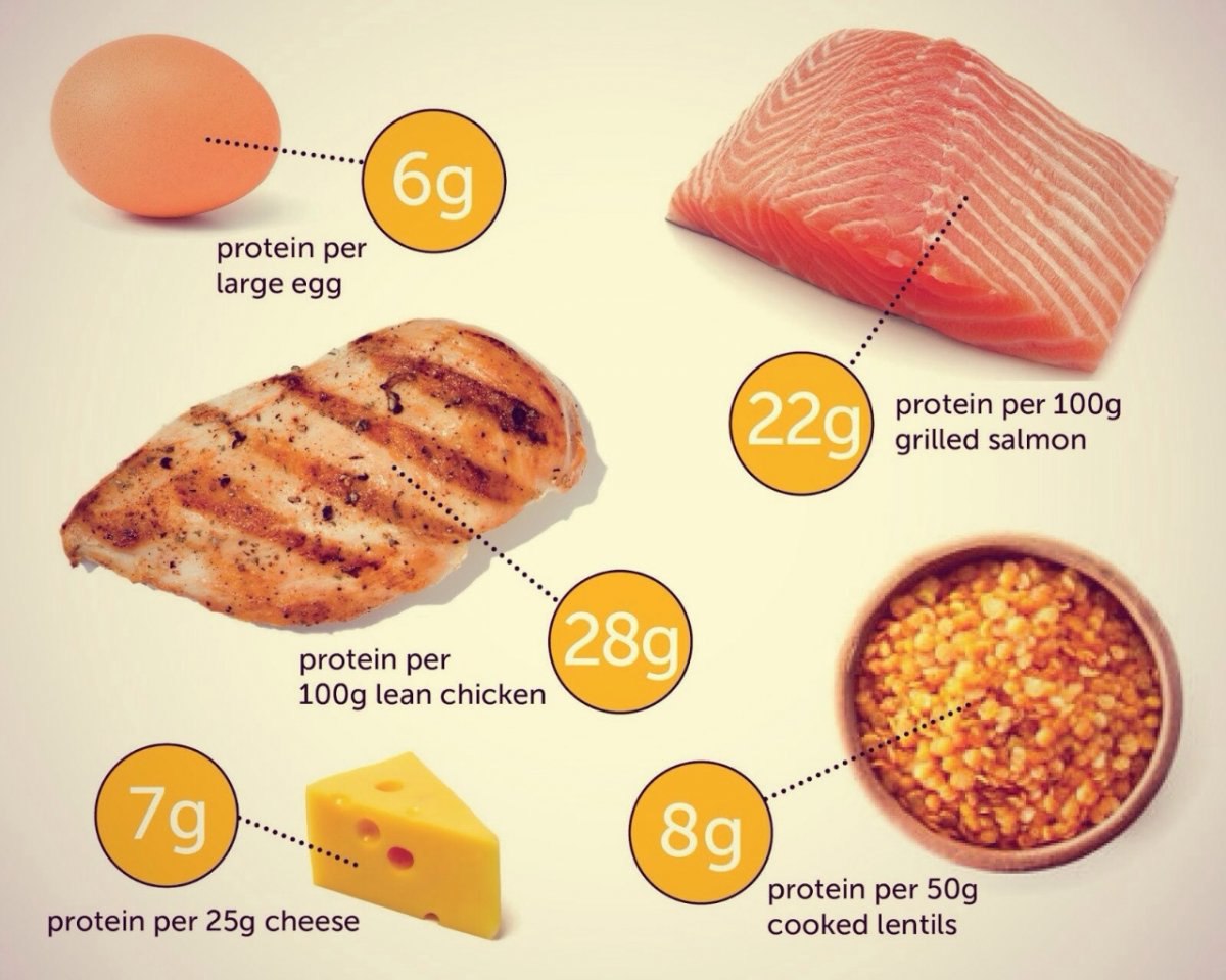 Pro 5 Protein �������: ����.