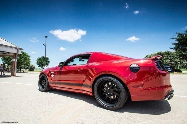 Shelby GT500 Super Snake - 7
