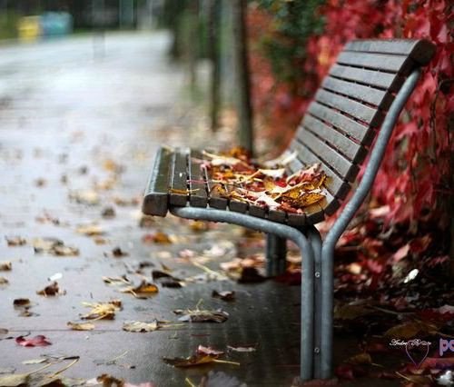   - 17  2014  11:22 - 6