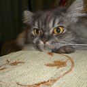 ���� ������, ������, 48 ��� - ��������� 29 ������� 2014 � ������ ���� ����������