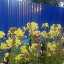 ���� �������, ������ - ��������� 2 ������ 2014 � ������ ���� ����������