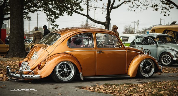 VW Beetle.