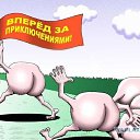 ���� �������, ��������, 47 ��� - ��������� 26 ������� 2014 � ������ ������ ��������