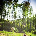 ���� ������, ����������� - ��������� 28 ������� 2014 � ������ ���� ����������