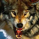 ���� �������, �����-���������, 53 ���� - ��������� 24 ������� 2014