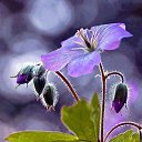 ���� ���k�, ����������, 63 ���� - ��������� 5 �������� 2014 � ������ ������ ��������