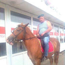 ���� ��������, ���������, 58 ��� - ��������� 8 ������ 2014