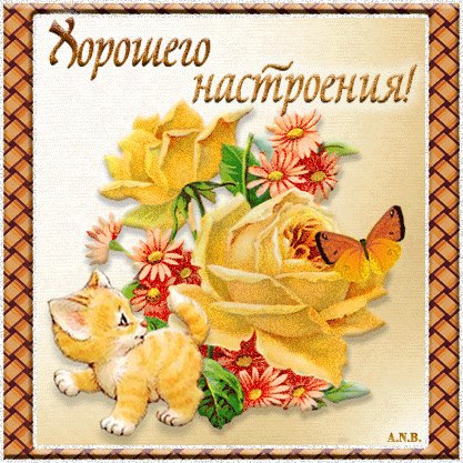 ������ - 10 �������� 2014 � 18:01