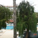 ���� �����, ������������, 42 ���� - ��������� 1 �������� 2014 � ������ ���� ����������