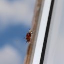  , --, 60  -  30  2014    