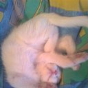 ���� �������, ���������, 55 ��� - ��������� 21 �������� 2014 � ������ ���� ����������