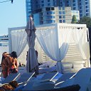 .....�����........ �� ������� ���� ����������