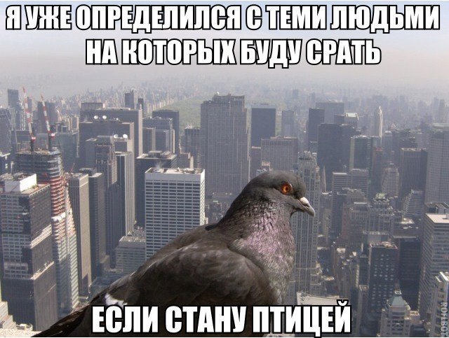 --....