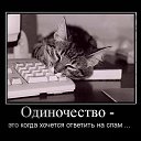 ���� E����, ��������� - ��������� 18 ������� 2014 � ������ ������ ��������