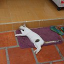 ����� ����������� ������� �� ������� ��������-2013�