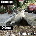 ���� ��������, ���������, 65 ��� - ��������� 21 ������� 2014 � ������ ���� ����������