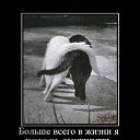 ���� �������_�����, �������, 48 ��� - ��������� 11 ������ 2014 � ������ ������ ��������