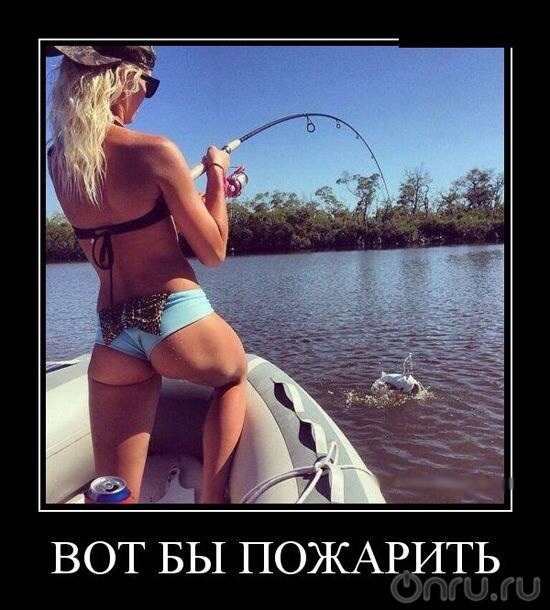 ����� ������� - 4 ������ 2014 � 11:51 - 3