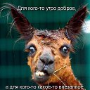 ���� �����, ���, 64 ���� - ��������� 3 ������� 2014 � ������ �2013�