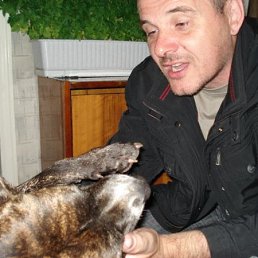 �������, �����������, 59 ���