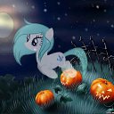 ���� Shinshilla, �����-���������, 23 ���� - ��������� 29 ������ 2014