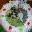 ���� ������, ������ ��������, 37 ��� - ��������� 22 �������� 2014 � ������ ������ ��������