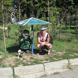 �����, �����������, 71 ���