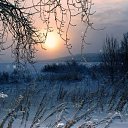 ���� �������, �������, 67 ��� - ��������� 3 ������ 2014 � ������ ���� ����������