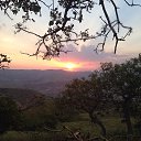 ���� ����, �����������, 45 ��� - ��������� 25 �������� 2014 � ������ ���� ����������