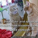 ���� ������, �������, 34 ���� - ��������� 27 ������ 2014 � ������ ������ ��������