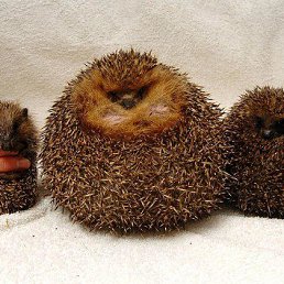 ���� ��������, ������, 57 ��� - ��������� 18 �������� 2014