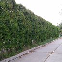 ���� Alina, ��������� - ��������� 30 ������� 2014 � ������ ���� ����������