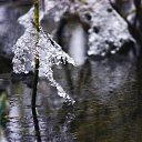 ���� �����, �����-��������� - ��������� 30 ������ 2014 � ������ ����� � �������.�