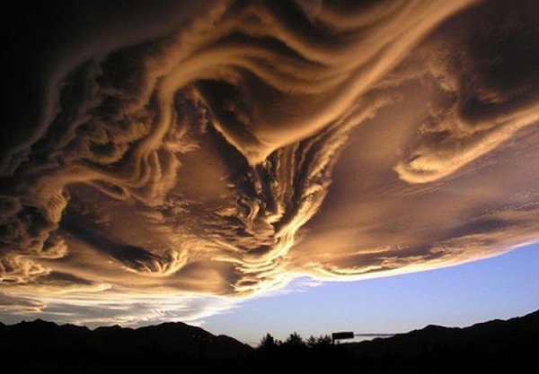   .Undulatus asperatus,        ... - 4