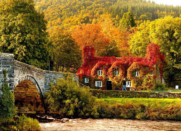 Tu Hwnt I'r Bont, Pont Fawr, Llanrwst, UK - 3