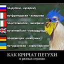 ���� �������, ������� - ��������� 10 ������� 2014 � ������ ������ ��������